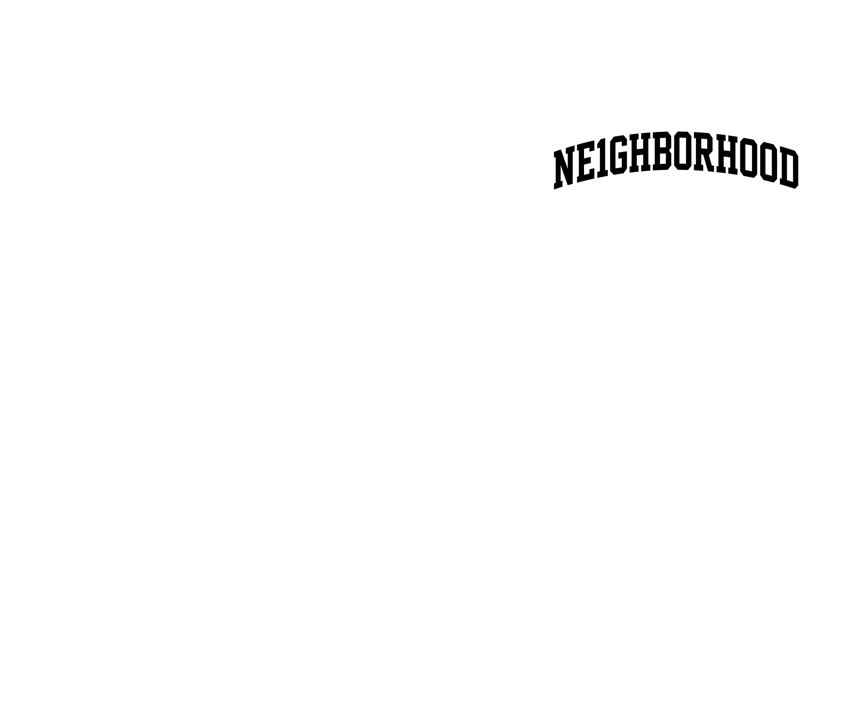 NE1GHBORHOOD THE QUIET STATEMENT